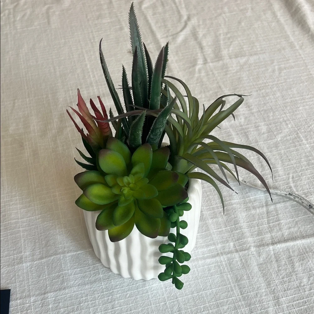 Elegant White Planter with Lush Green and Red Succulents